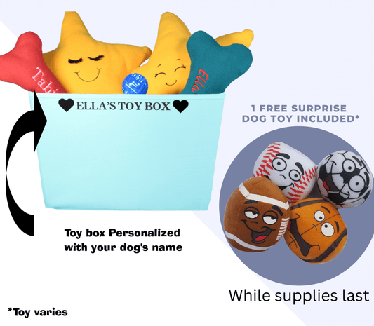 Personalize Dog Toy Basket-Dog Gift-Toy Basket To Organize Toys-New puppy Basket